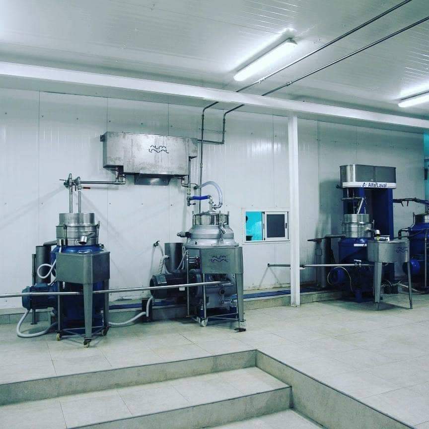 Certified olive oil mill room with processing equipment