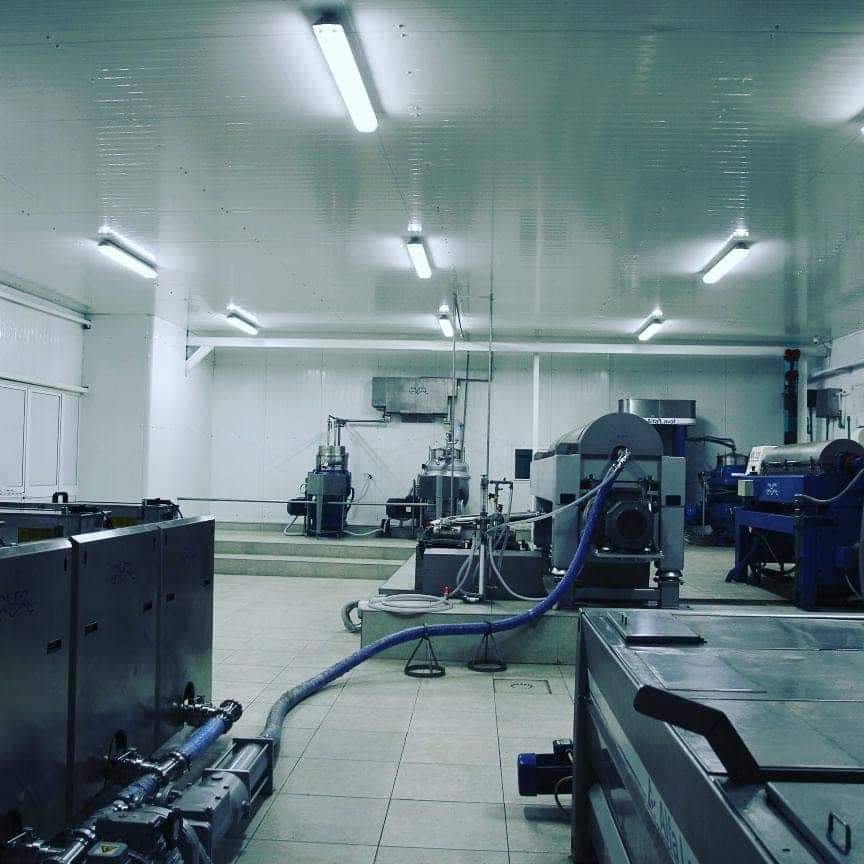 Olive oil processing room and equipment