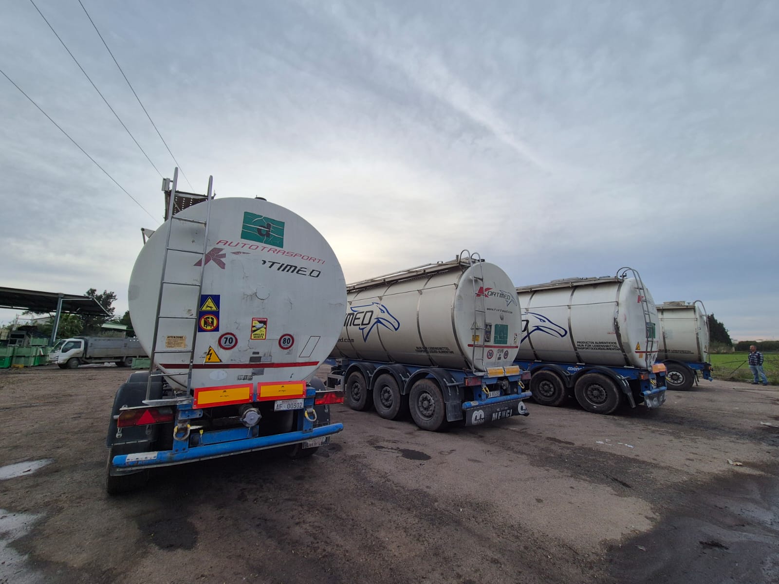 Bulk olive oil transport tankers