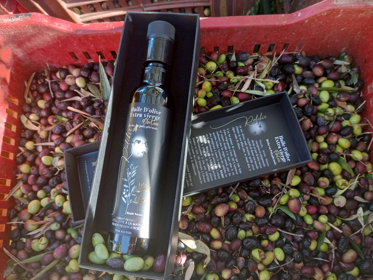 Extra virgin olive oil bottle presented on olives