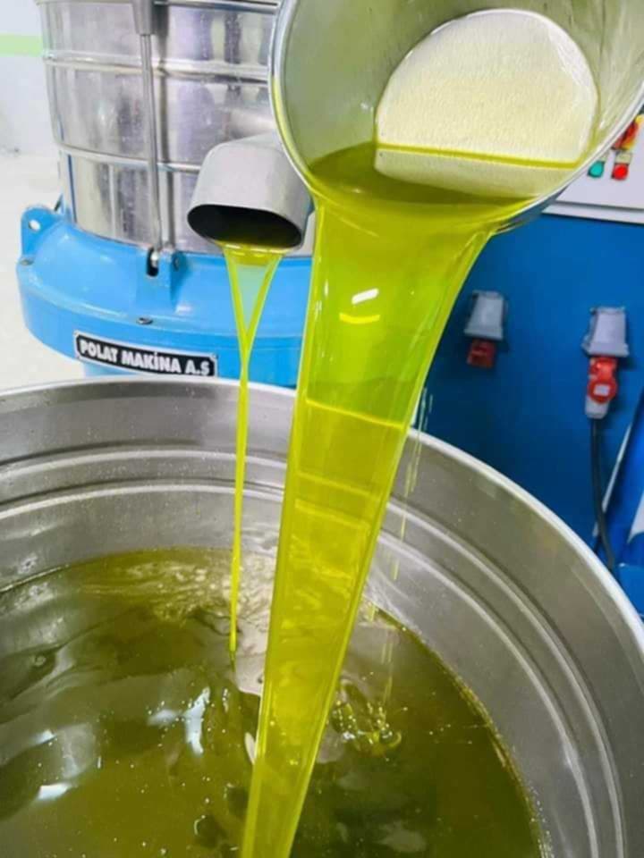 Filtered olive oil during visual control